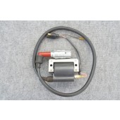 Ignition Coil Assy